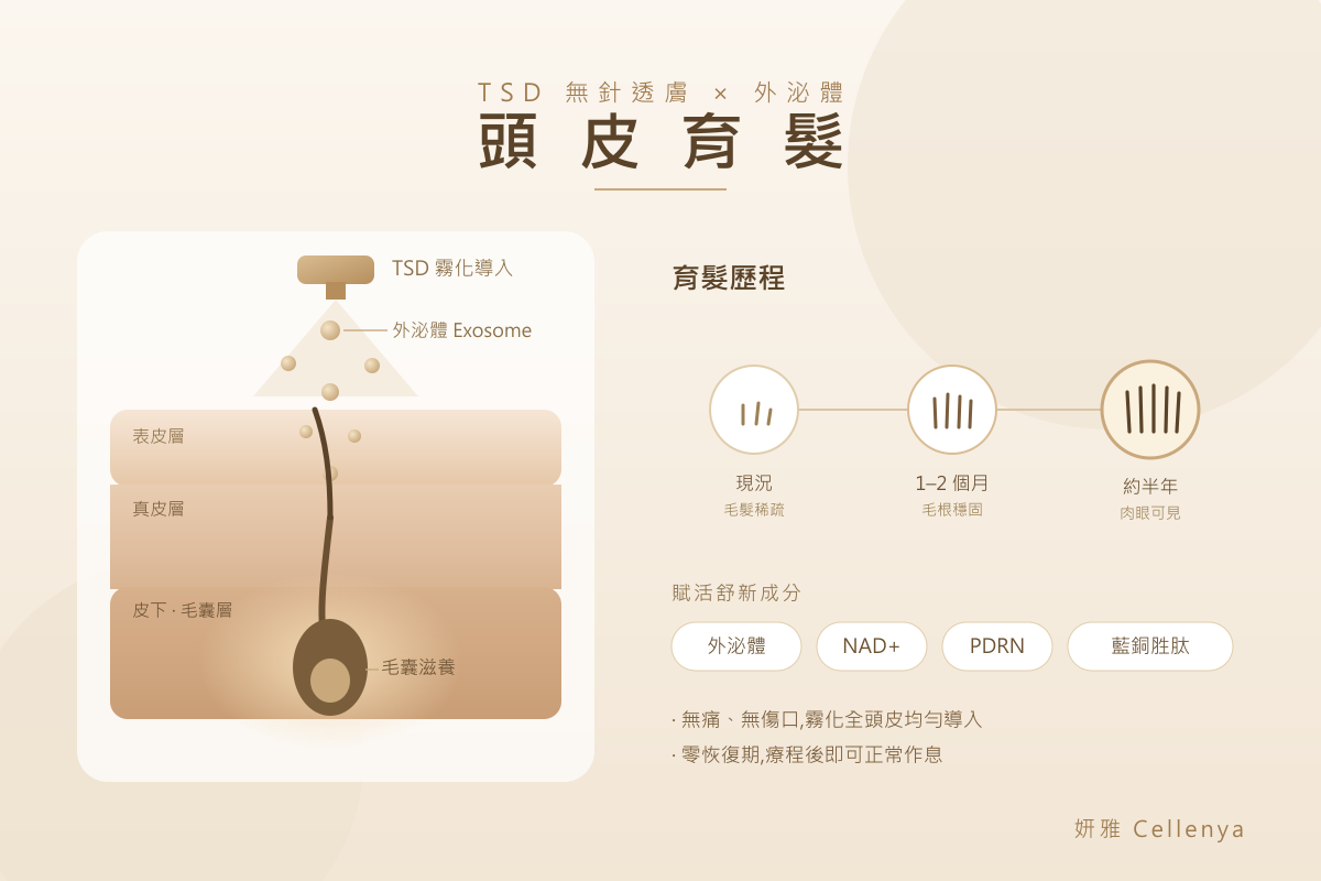 頭皮育髮